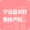 宁远县农村集体产权制度改革领导小组办公室招标信息